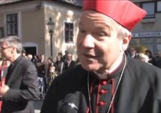 900 Pfarre Mödling – Hochamt mit Kardinal Schönborn